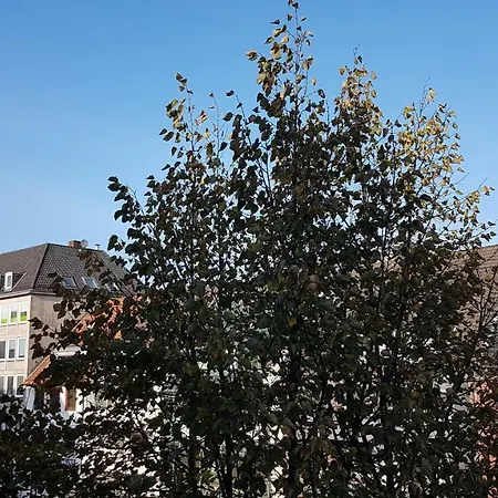 Ferienwohnung Domshof شقة